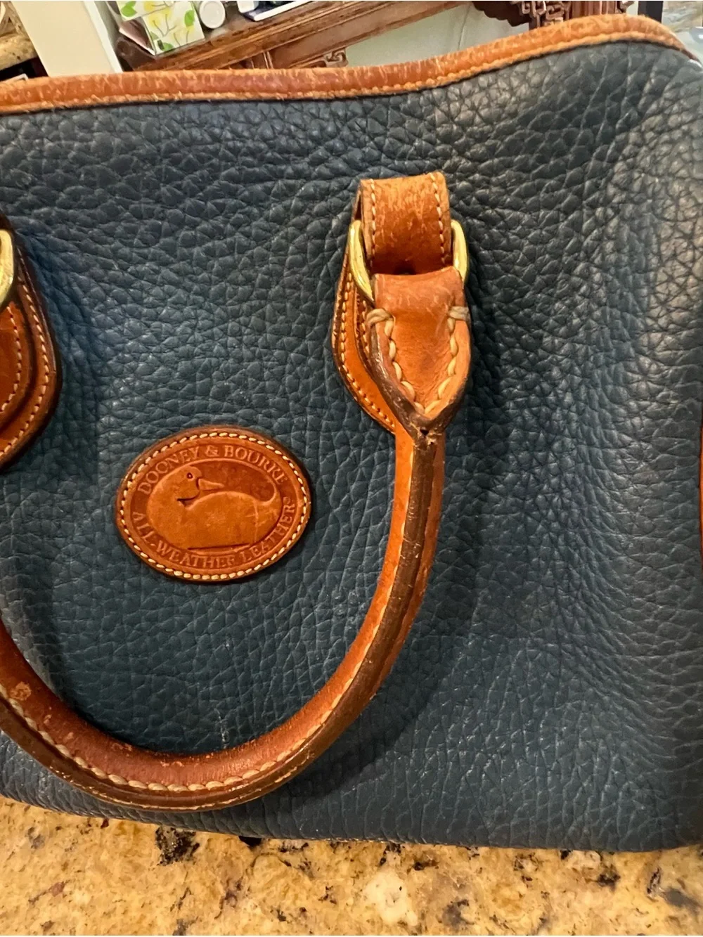 Vintage RARE Dooney & Bourke French blue All Weather Leather bag with Brown Trim